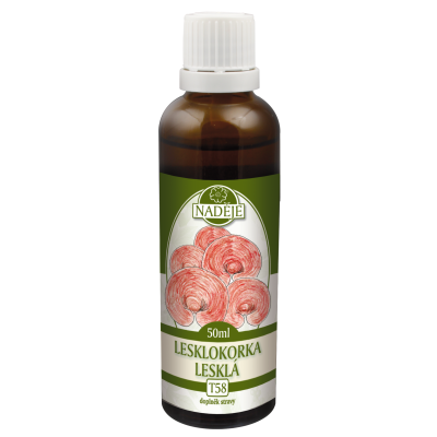 Tinktura Lesklokorka lesklá 50 ml